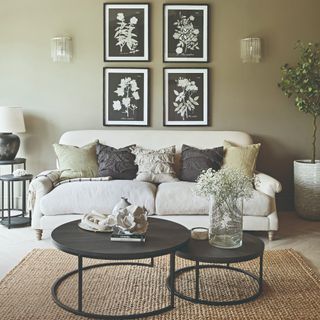 Sage green-painted living room with a cream sofa styled with two green linen cushions, two charcoal frilled cushions and a cream frilled cushion in the middle