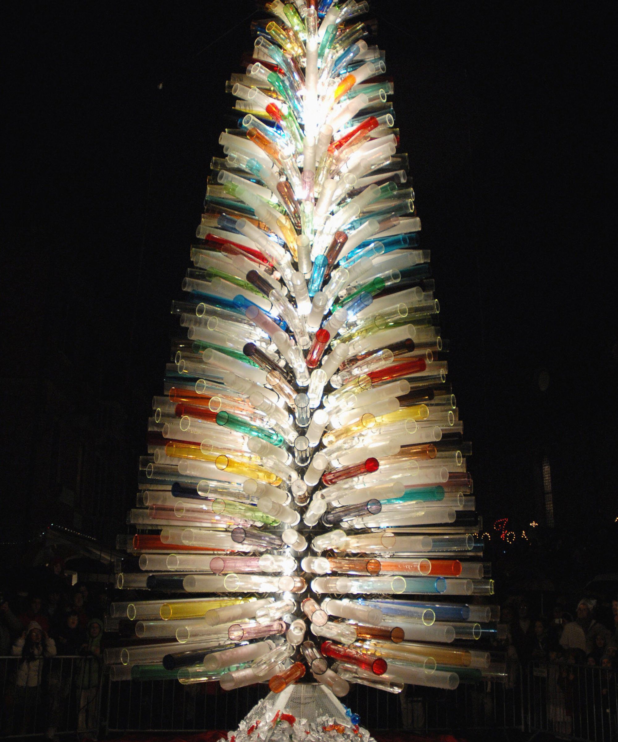 Campo Santo Stefano tree