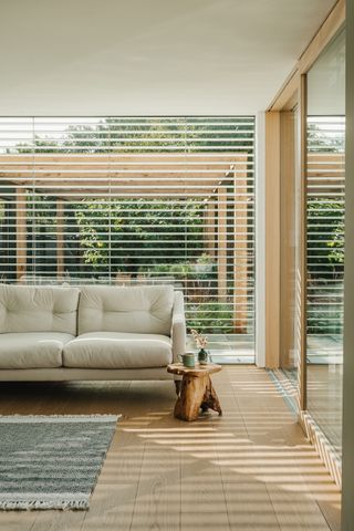 softness and dappled light in minimalist hampshire home