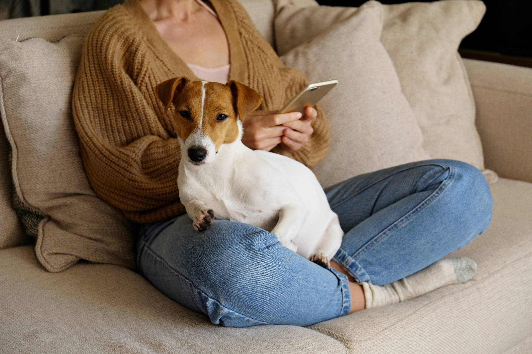 Woman wearing knitted sweater and mom jeans with cute dog on her lap while she browses a smart phone