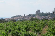 Ch&acirc;teau de Beaucastel Hommage &agrave; Jacques Perrin