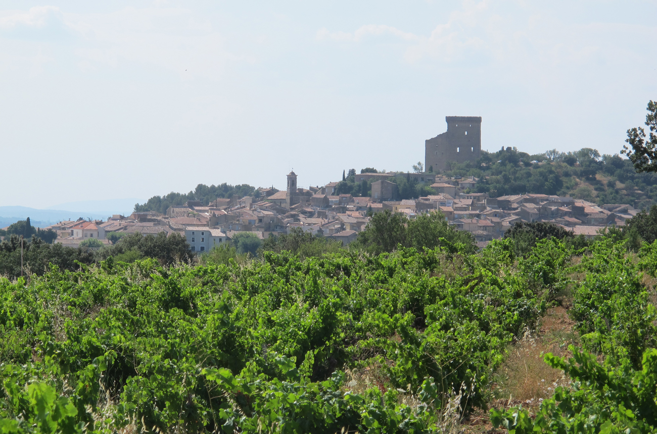 Ch&acirc;teau de Beaucastel Hommage &agrave; Jacques Perrin