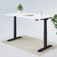 14. Flexispot Pro Plus Standing Desk (E7): was