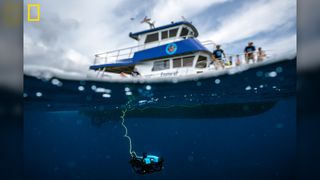 The discoverers revisited the site in September this year in a research vessel equipped with a remotely-operated underwater vehicle (ROV) to examine the rake with video cameras.