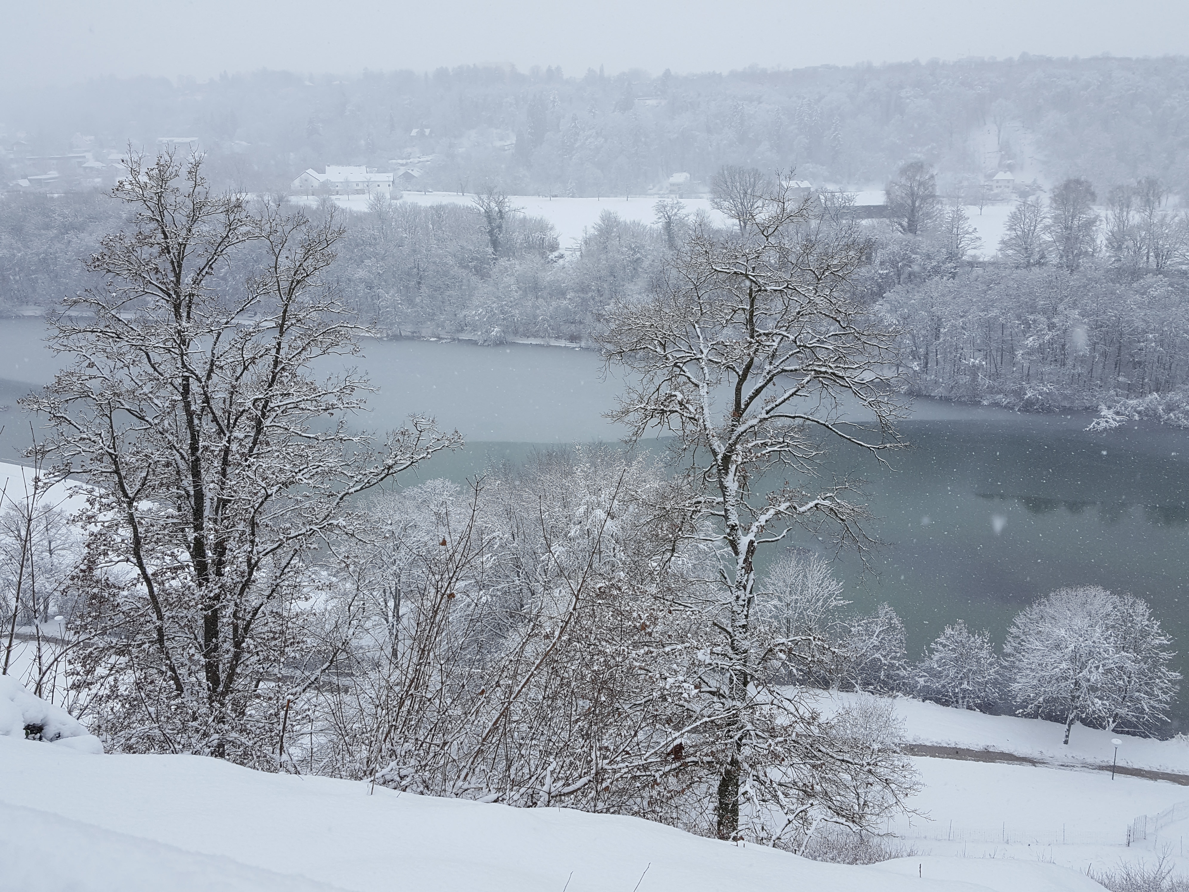 GuruShots - February 2026