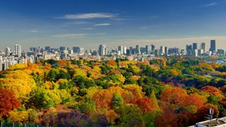 A view of Shinjuku Gyoen gardens against the Tokyo skyline