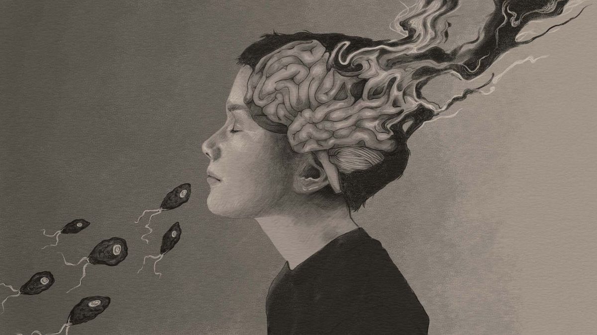 A pencil drawing showing brain eating amoebas entering a boy&#039;s nose, and an artistic representation of the boy&#039;s brain breaking down