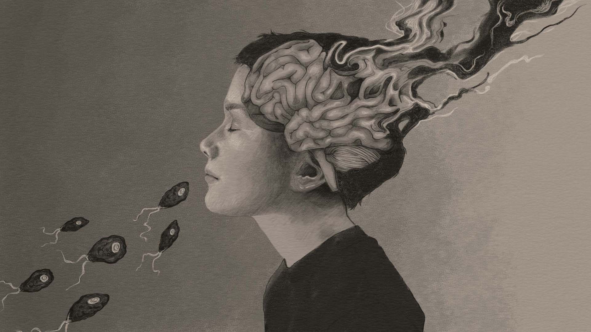 A pencil drawing showing brain eating amoebas entering a boy's nose, and an artistic representation of the boy's brain breaking down