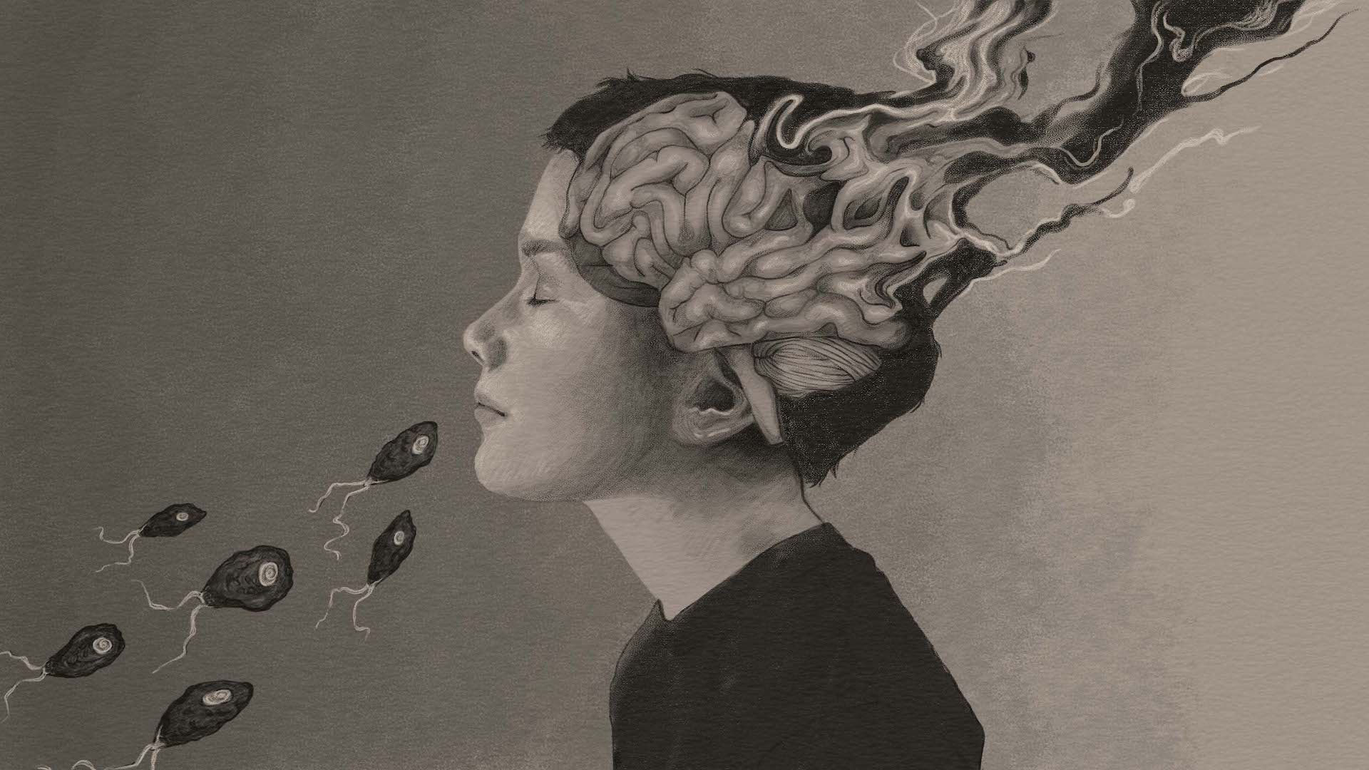 Is Brain Death Reversible Live Science