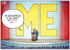 Political Cartoon