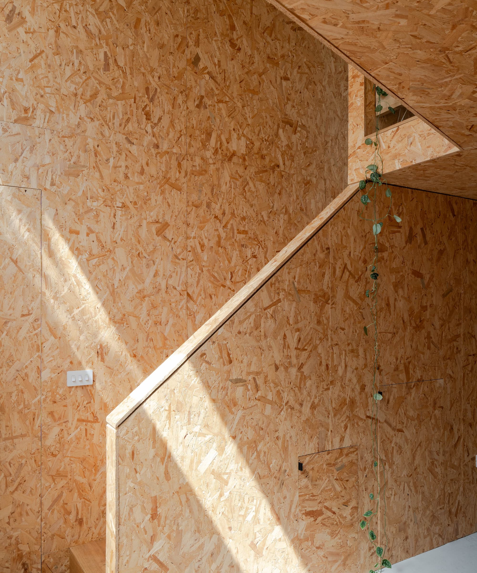A plywood staircase with a hanging plant and sockets in the walls