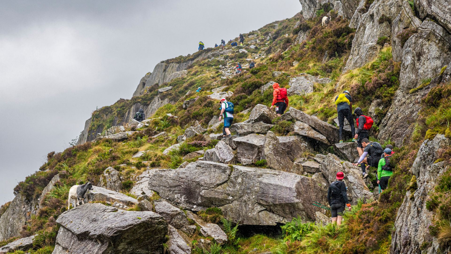 Trail running in Snowdonia
