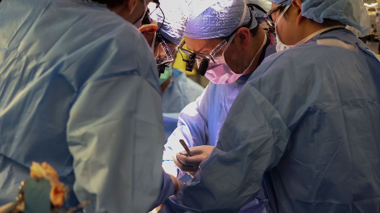 Surgeons perform the world&rsquo;s first genetically modified pig kidney transplant into a living human at Massachusetts General Hospital.