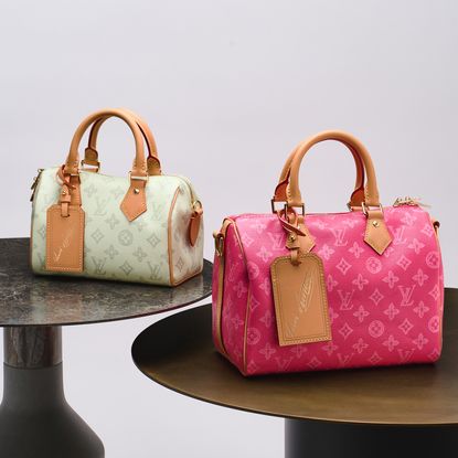 Louis Vuitton Monogram Anniversary