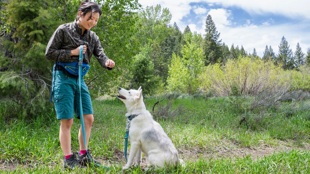 Woman giving her dog a treat while they&#039;re on a walk