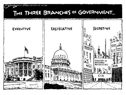 A new branch of government