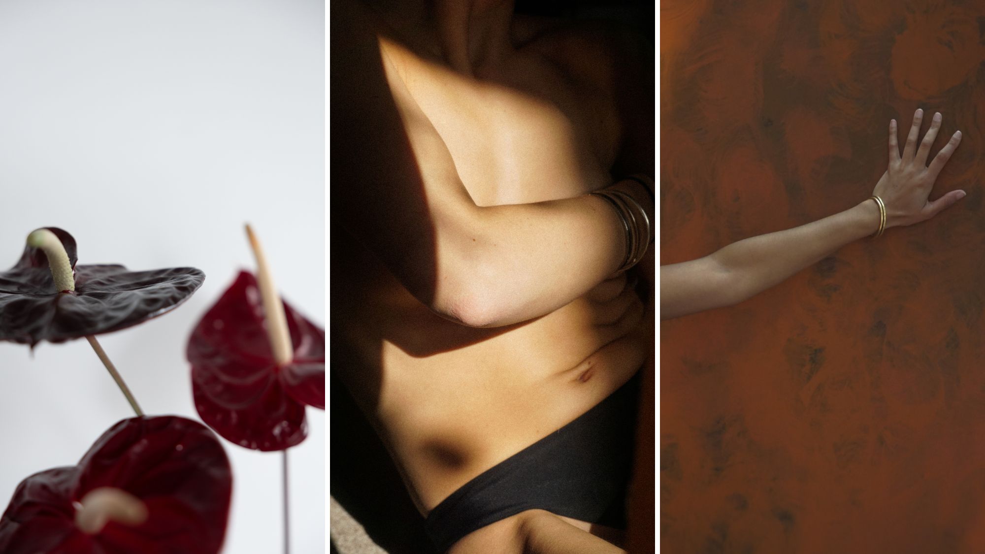 Flowers, a woman's torso and a hand against a wall