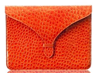 Ceccec Madruga iPad Clutch