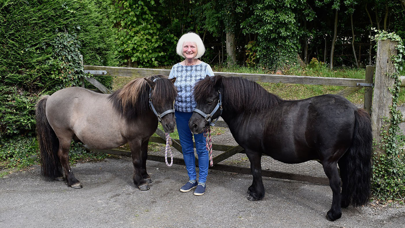Linda-Rose-Shetlands.jpg