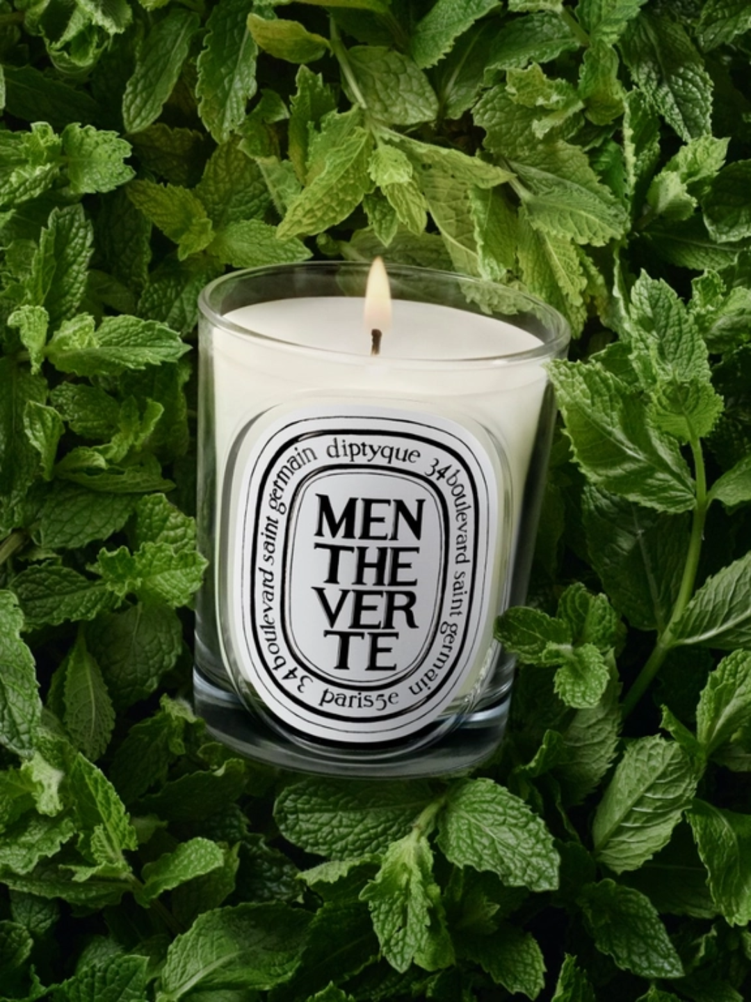 A mint candle from Diptyque nestled into spearmint