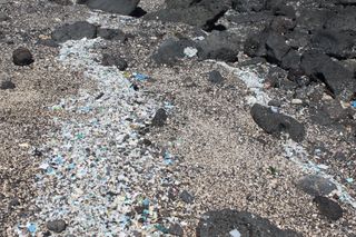 plastic trash in hawaii