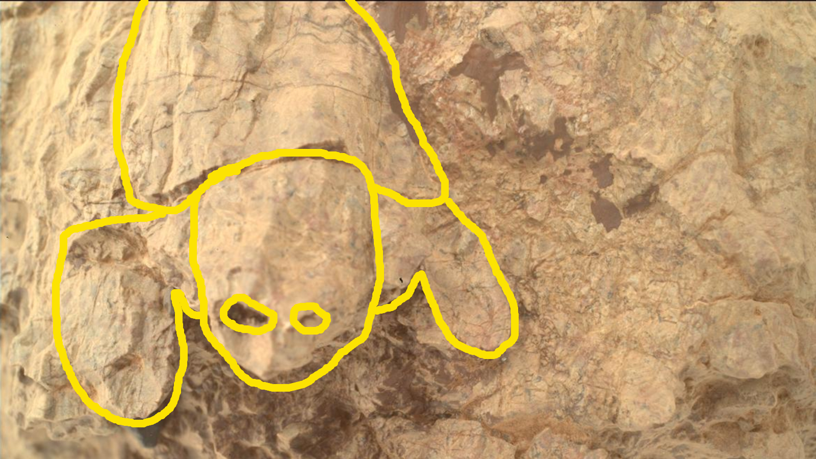 A photo of a turtle-shape rock formation on the surface of Mars with colored lines highlighting its outline