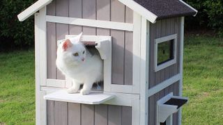 outdoor cat houses