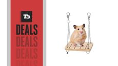 Amazon Prime Day hamster swing deal