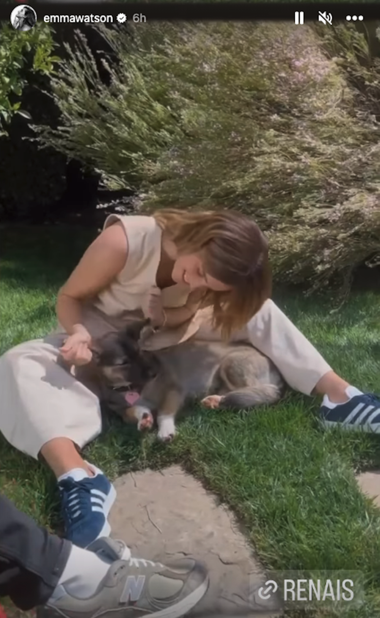 Emma Watson con la perra Sofía