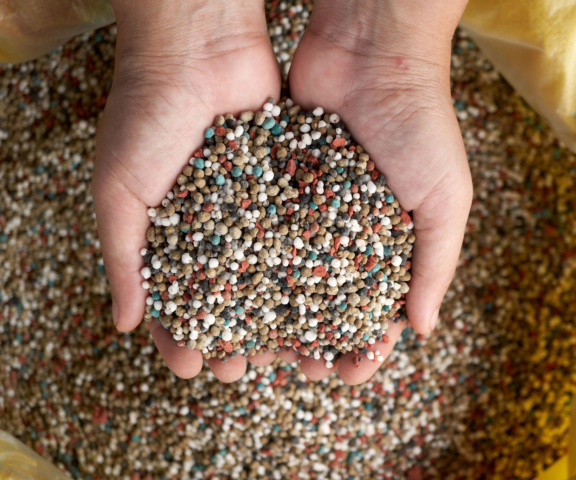 hands holding granular slow release fertilizer