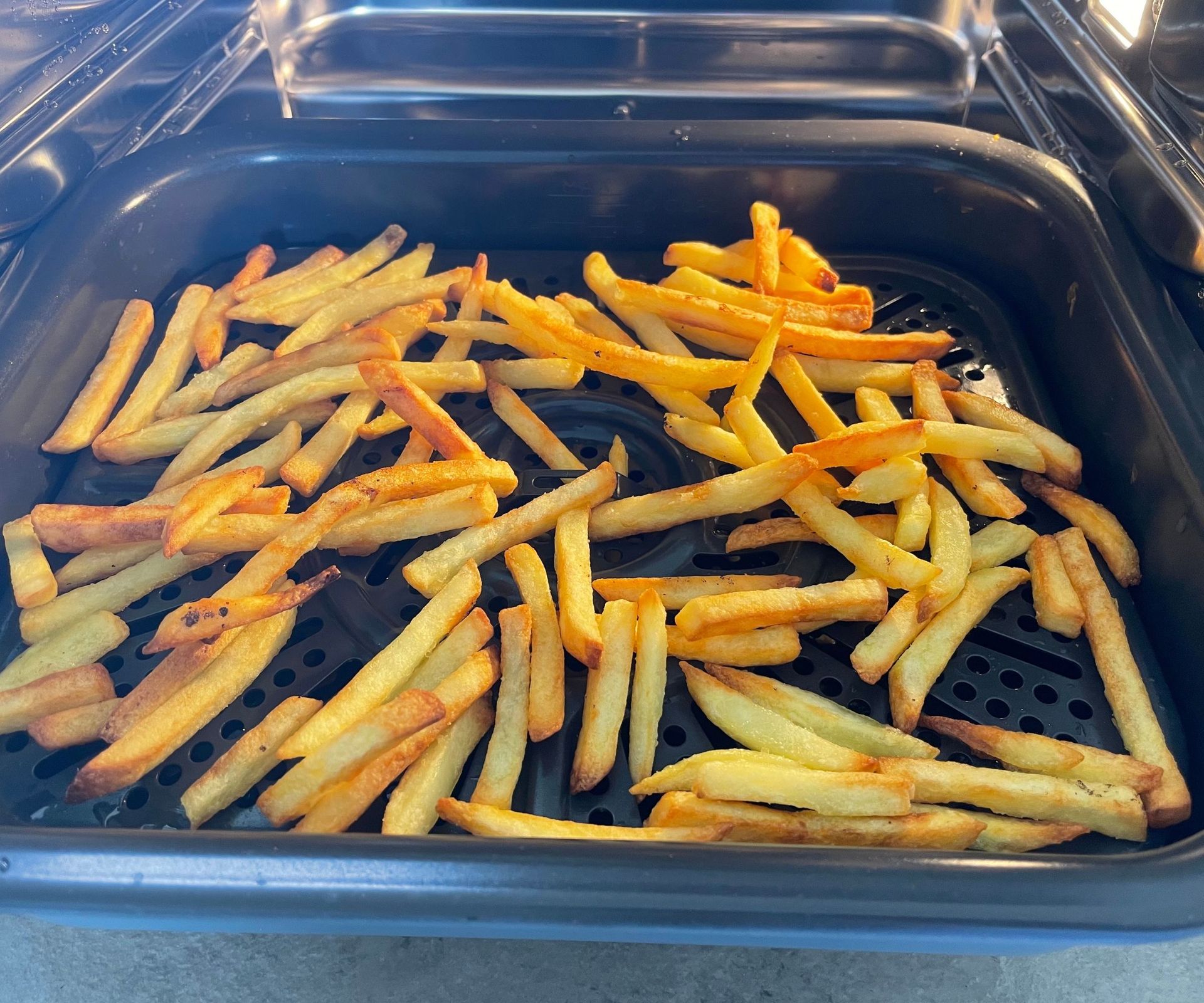 Fries in the Ninja Combi Multicooker