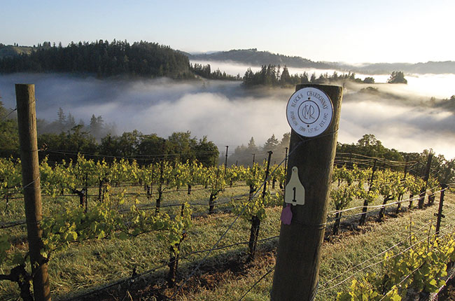 California white wine quiz