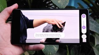 Live Captions on the Google Pixel 6