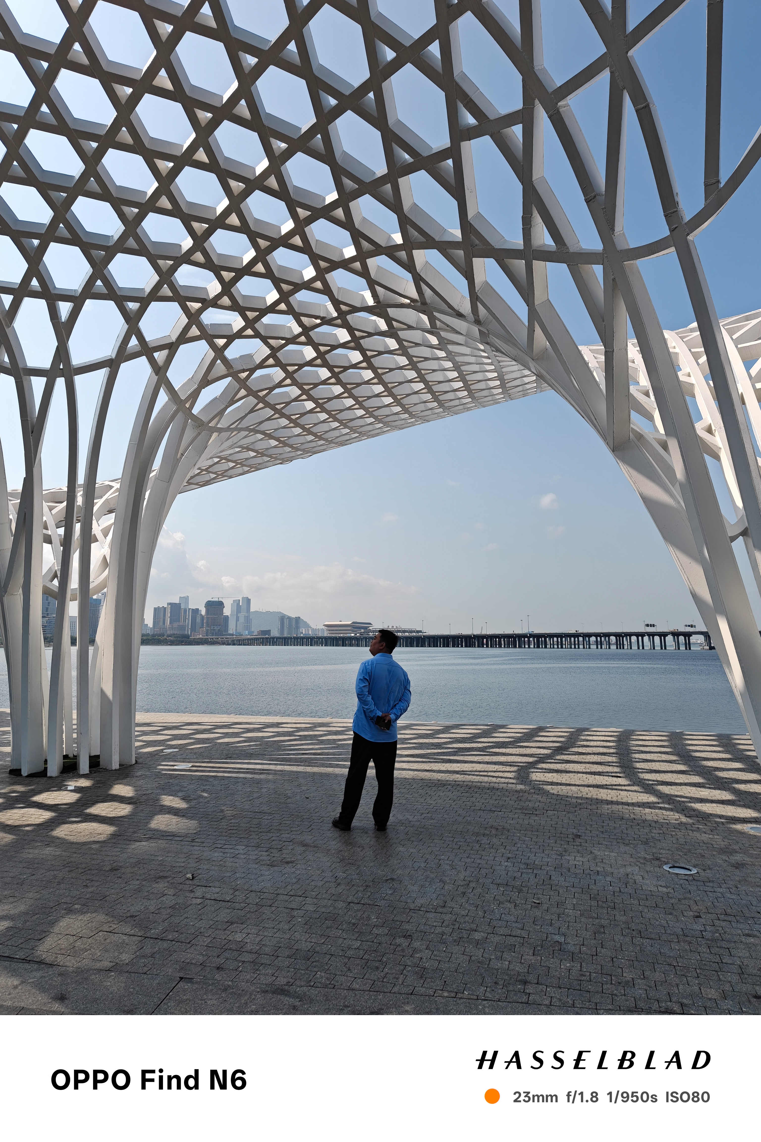 A wide shot showing a man in a blue shirt standing with his back to the camera, looking out over a calm body of water toward a city skyline. He is framed by the massive, curved white supports of a modern lattice structure that casts long, gridded shadows on the stone ground.