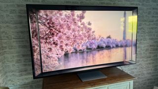 LG QNED91 65-inch LCD TV showing lake and tree blossom on screen