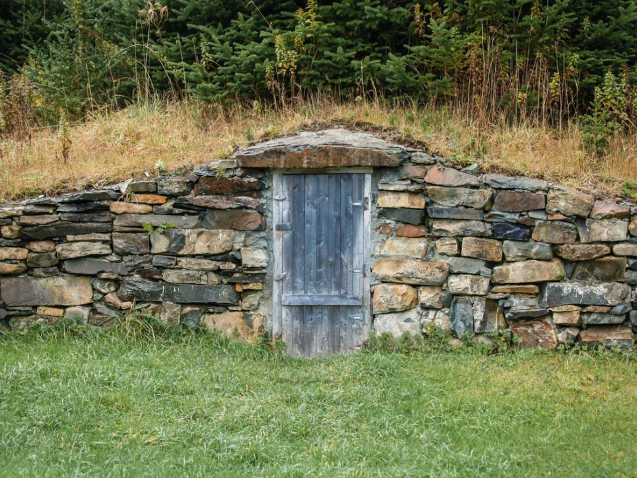 A Root Cellar