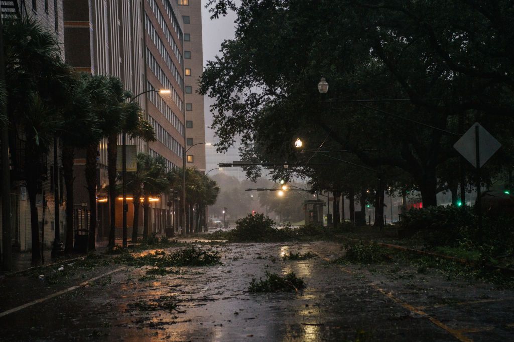 Downed trees in New Orleans.