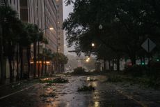 Downed trees in New Orleans.