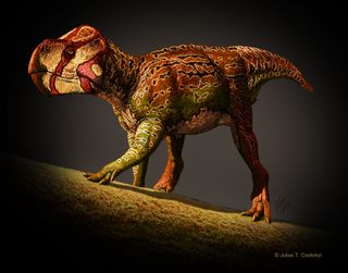 illustration of <i>Unescoceratops koppelhusae</i>
