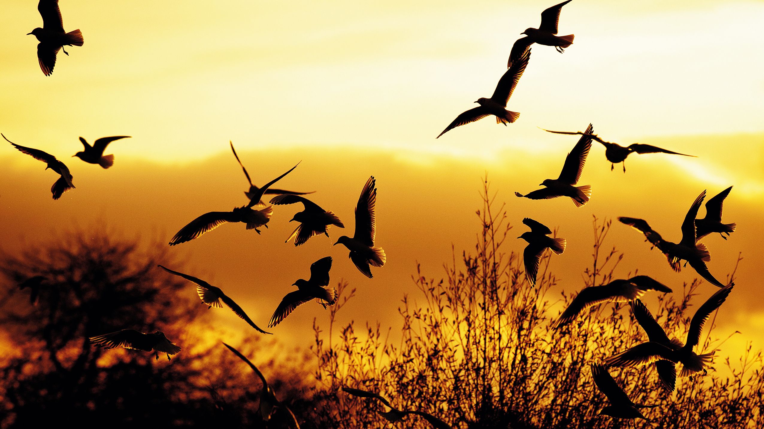 10 Photography Contests Accepting Submissions This July