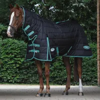 WeatherBeeta Green-Tec 150g Stable Rug | Save 42%Was £129.99 Now £75 WeatherBeeta Green-Tec 150g Stable Rug | Save 42%Was £129.99 Now £75