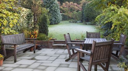 Winter garden trends