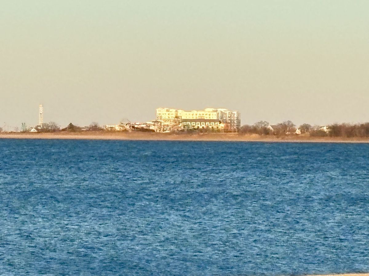Apple iPhone 16 zoom sample.