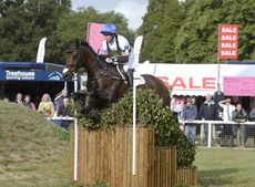Francis Whittington riding FERNHILL HIGHLIGHT in the CCI during the Cross Country phase of The Fidelity Blenheim Palace International Horse Trials, near Woodstock in the UK on 14 September 2013