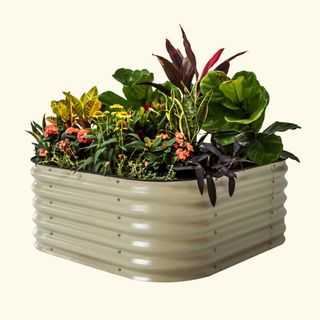 Vego 4-in-1 modular metal raised garden bed kit filled with plants and flowers