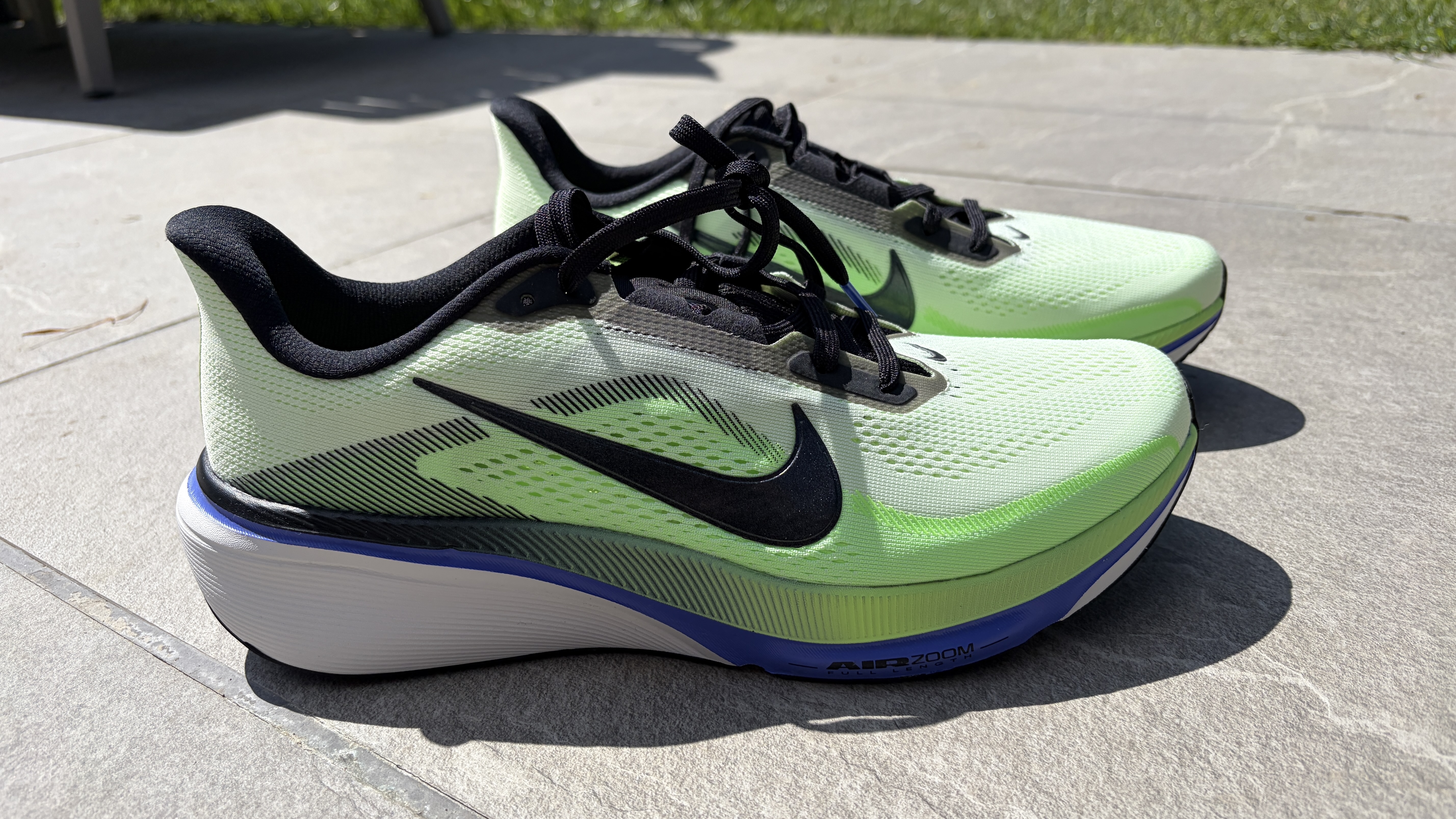 Nike Pegasus 42