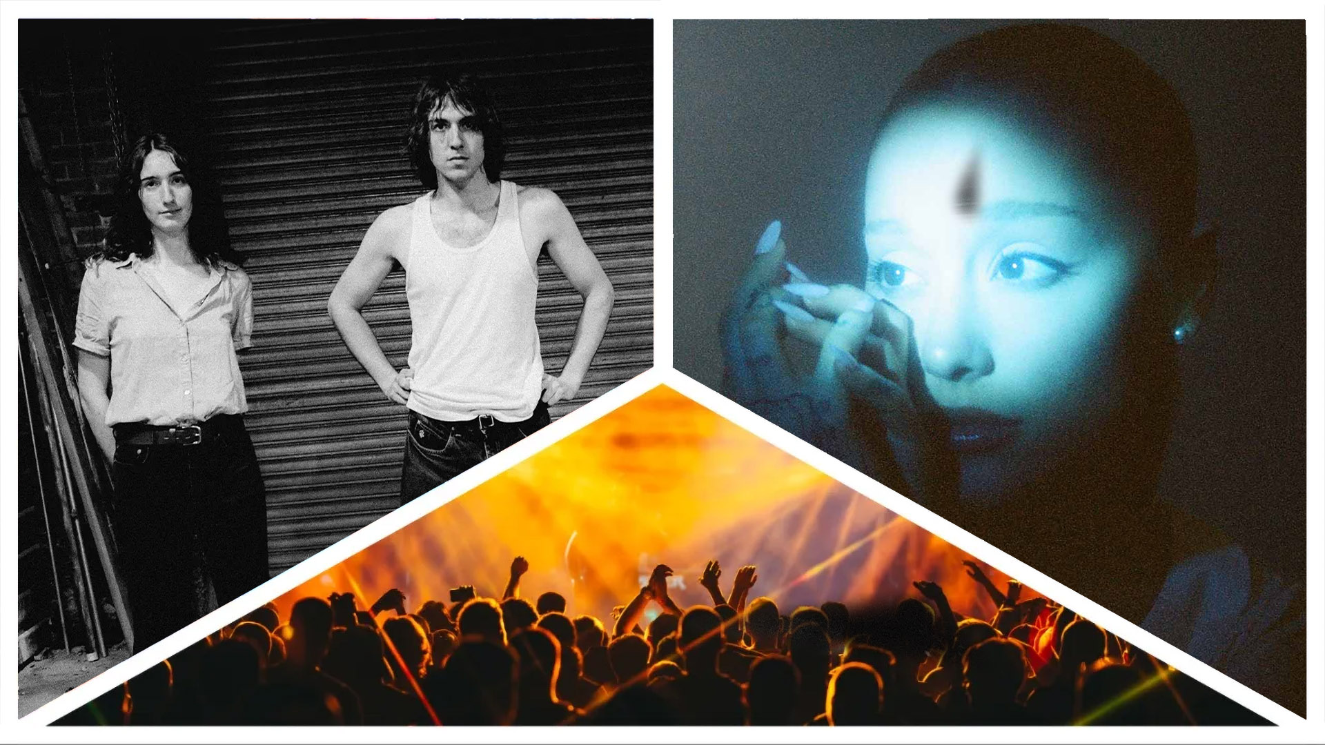 Photos of Geese and Ariana Grande.