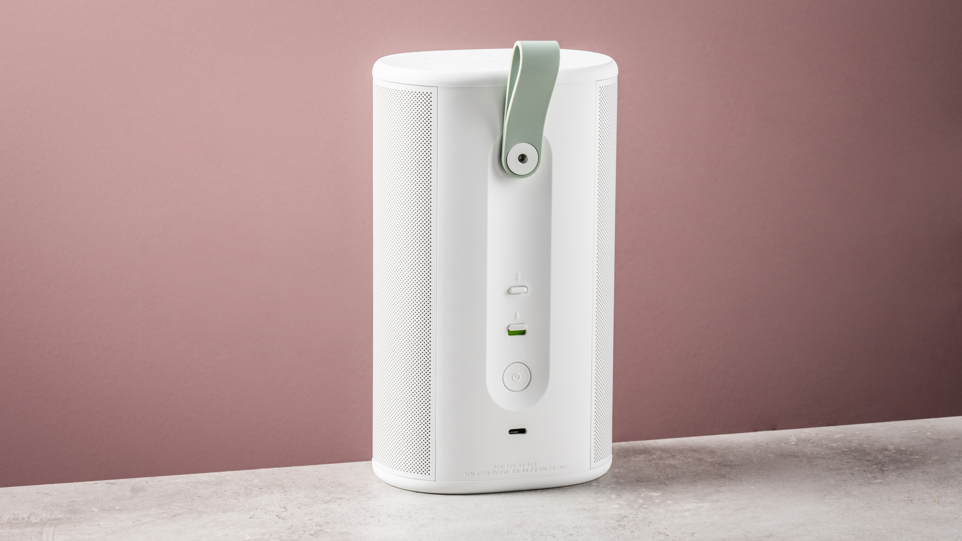 The rear of the Sonos Play speaker, showing its controls and carrying hook