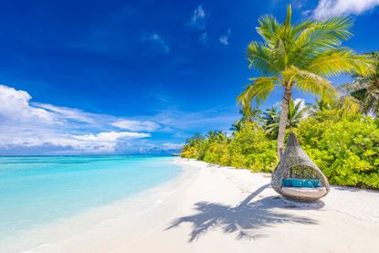 Tropical beach with palm trees, white sand and turquoise sea