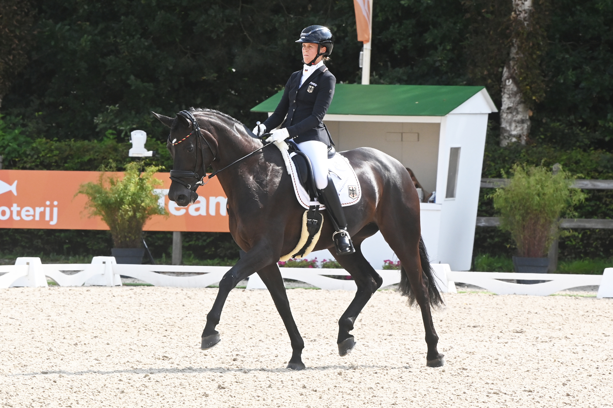 Pictured Germany's Regine Mispelkamp and Pramwaldhof's Bayala win individual gold at the 2025 European Para Dressage Championships.